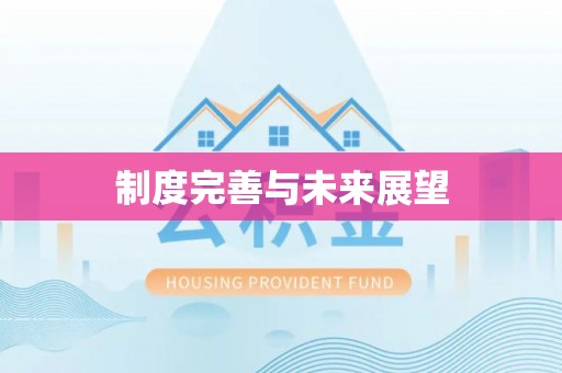 太原制度完善与未来展望