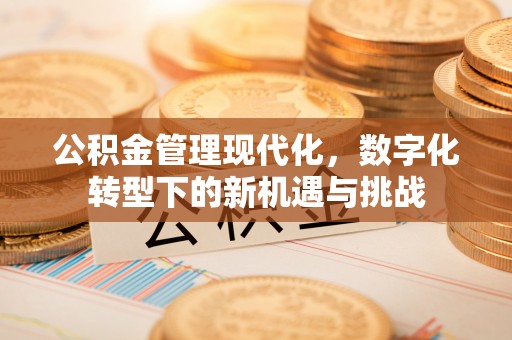 太原公积金管理现代化，数字化转型下的新机遇与挑战